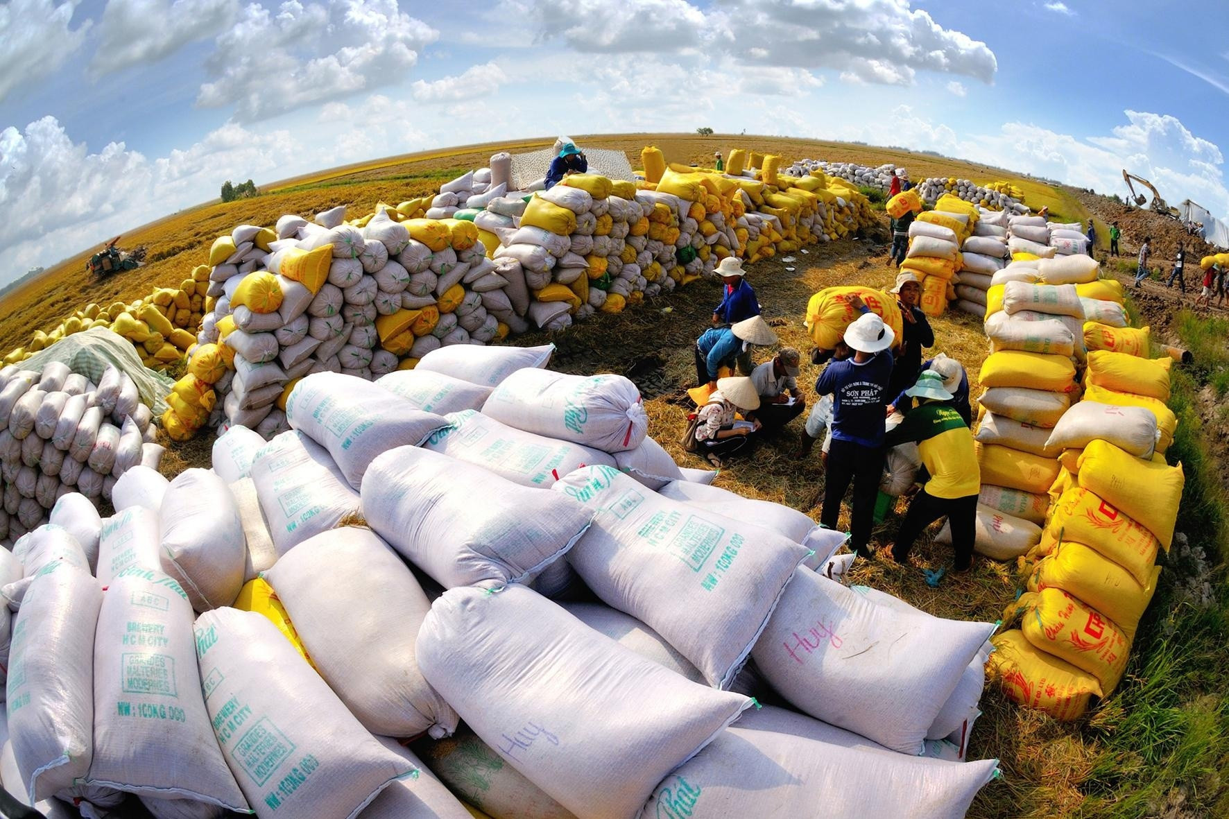 Toàn cầu thiếu gạo, Bộ trưởng Lê Minh Hoan nhắc 'đừng để mất cơ hội' 