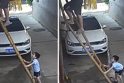 Cậu bé 6 tuổi giữ chặt chiếc thang sắp gãy, cứu bố khỏi bị ngã