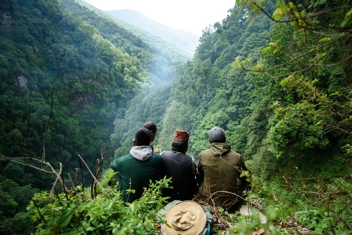 Du lich Nepal,  Toc nguoi Gurung,  Ong lon nhat,  San mat ong anh 4