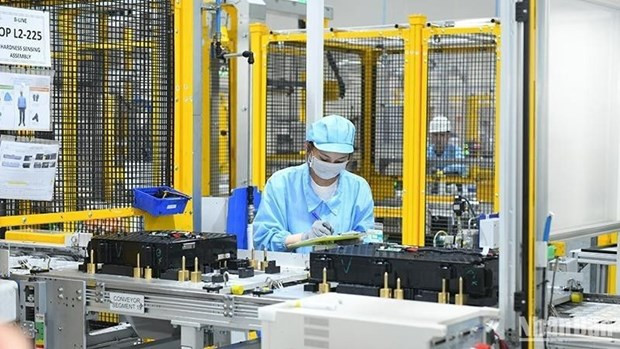 Positive signs from overseas labour market hinh anh 2