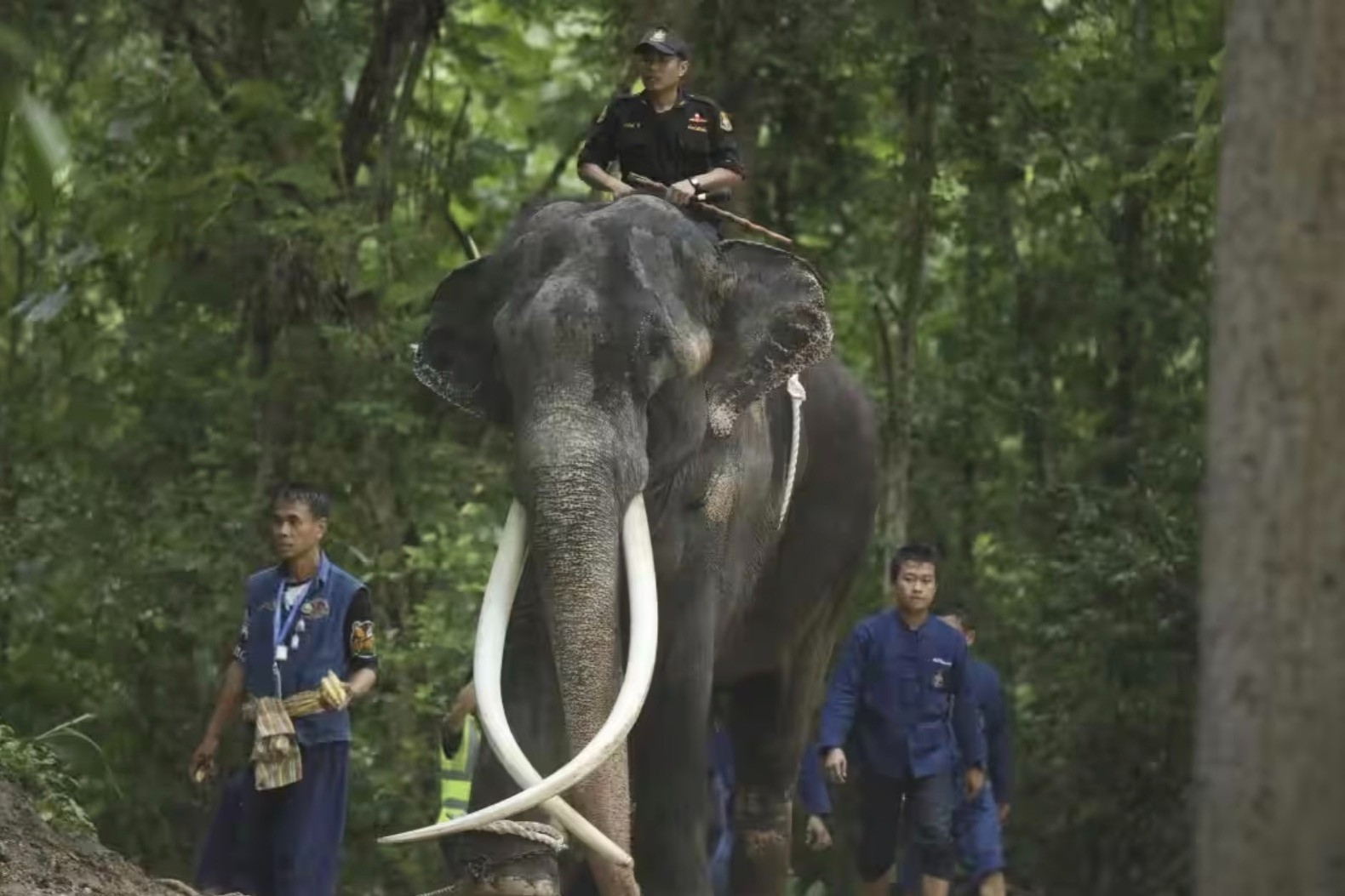 Thái Lan đòi Sri Lanka trả lại món quà tặng từ năm 2001