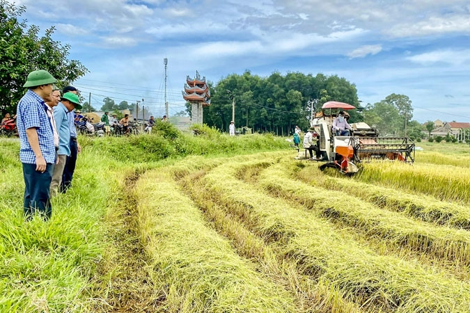 Triệu Đại hoàn thành tiêu chí xây dựng nông thôn mới nâng cao