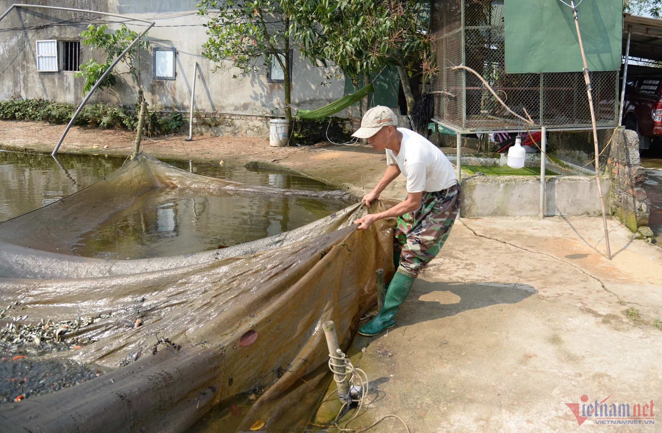 Chủ trại cá phá sản, vực dậy lãi tiền tỷ mỗi năm