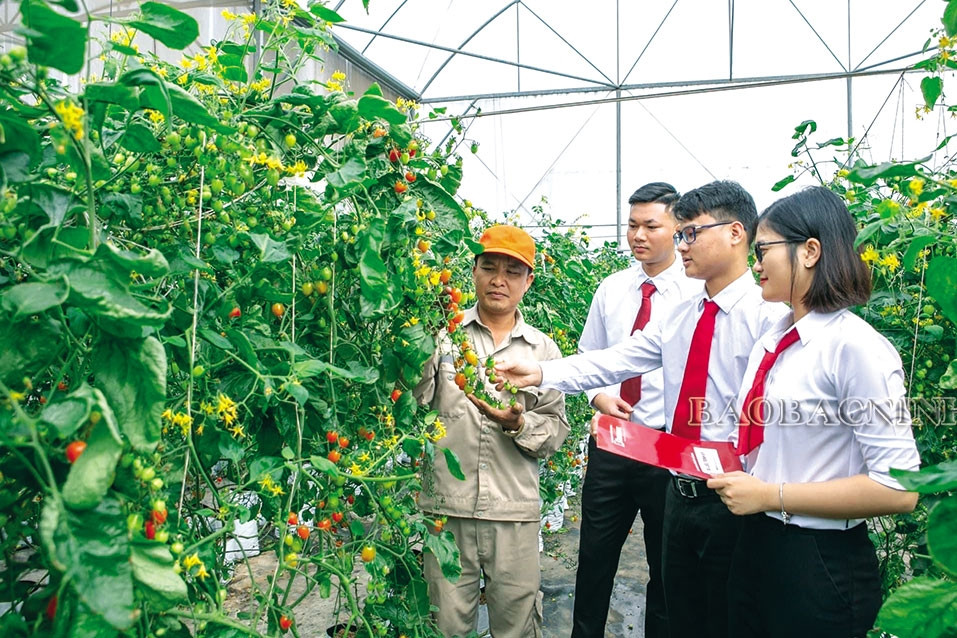 Nông dân Bắc Ninh làm chủ công nghệ số