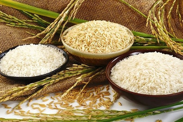 Rice share prices surge, but rice companies told to be cautious