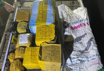 Over 33 kilos of gold seized from An Giang smuggling case