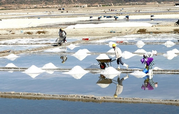 VN salt industry needs new strategies to develop: experts