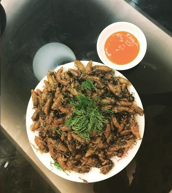 Roasted cicadas: A treat for those brave enough