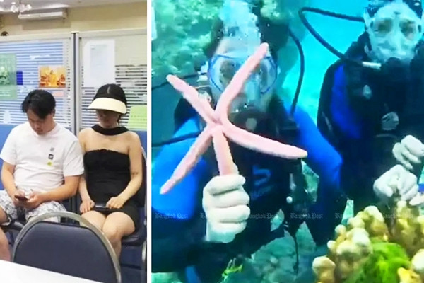 Du khách làm hại san hô bị cảnh sát bắt, đối mặt án tù 2 năm