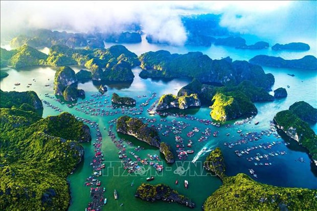 More efforts made to seek world heritage recognition for Ha Long Bay-Cat Ba Archipelago hinh anh 1