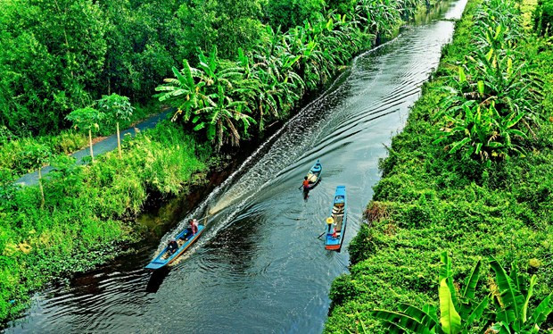 Eco-tourism site project in Ca Mau's U Minh Ha National Park approved hinh anh 1