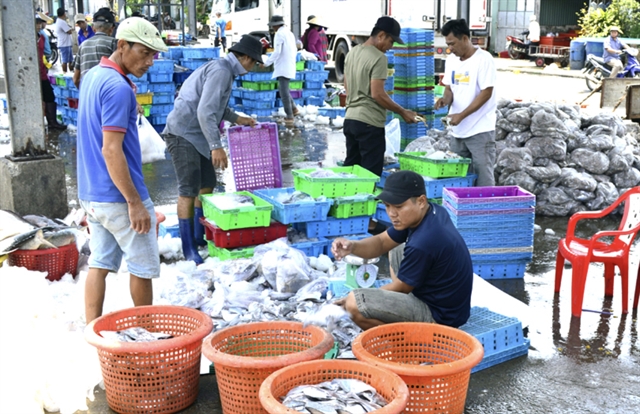 Fishing vessels must be managed to remove the IUU 