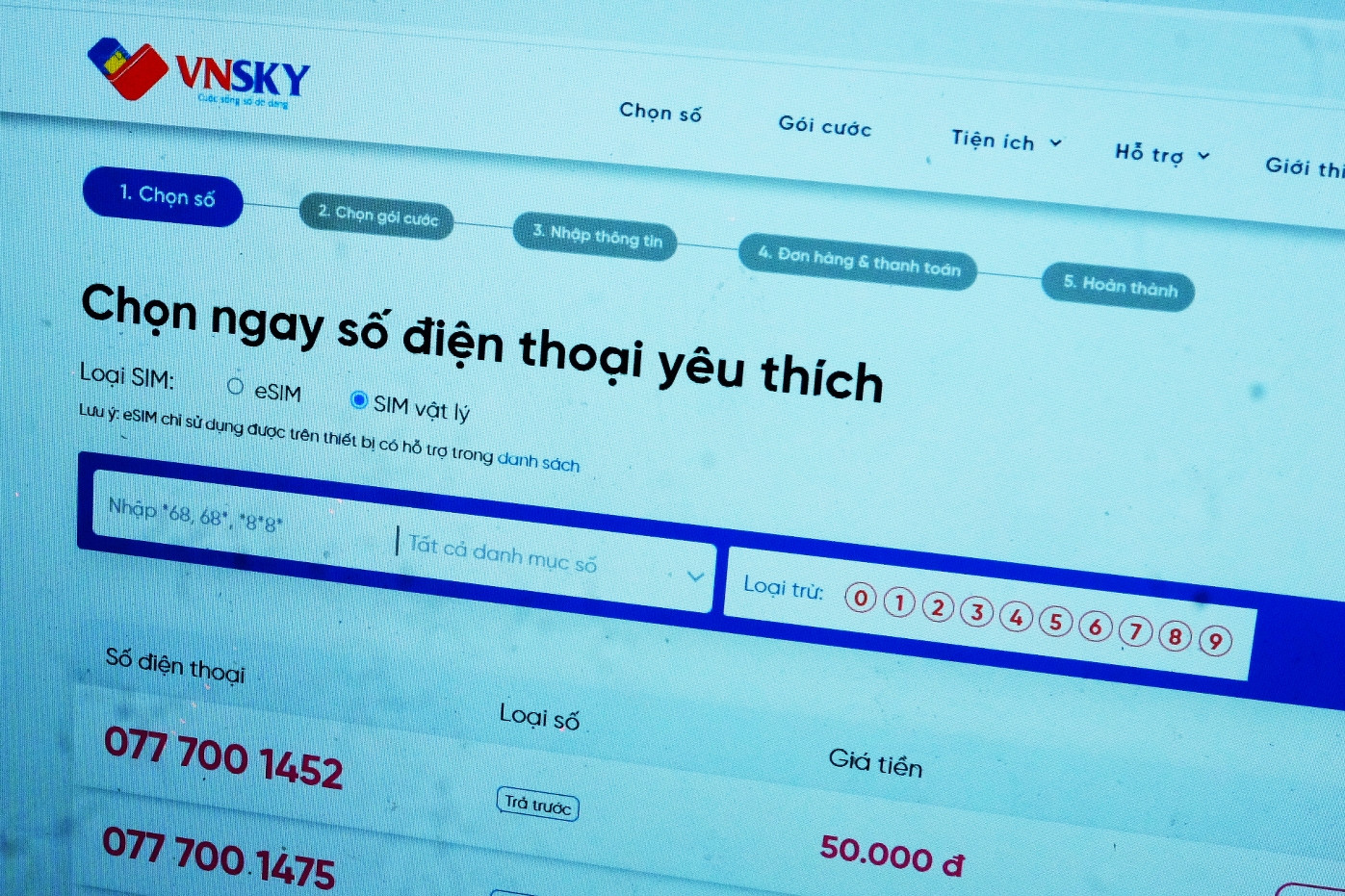 Mạng ảo VNSKY  