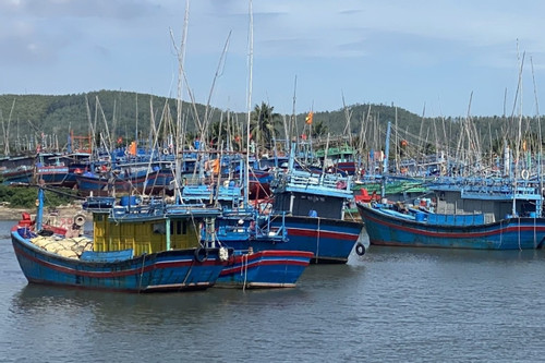 Tăng cường hỗ trợ Bình Định quản lý tàu cá, sớm gỡ “thẻ vàng” EC