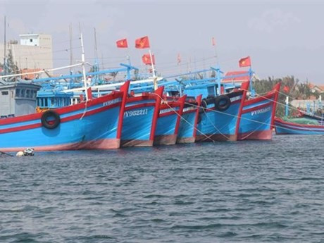 EC sets to visit Vietnam in October for checking IUU implementation ảnh 1