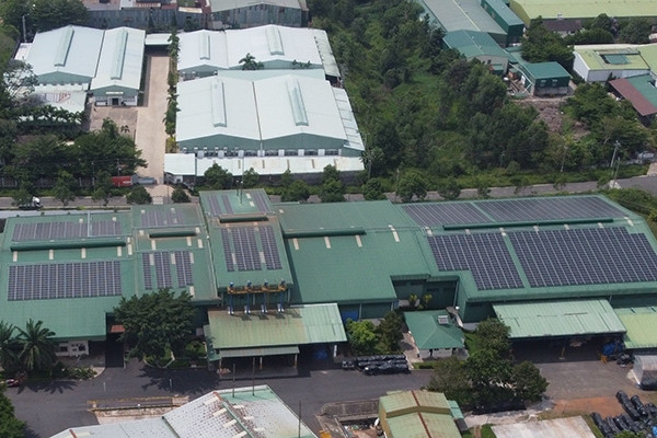 Lâm Đồng yêu cầu dừng mua điện, bóc dỡ hàng nghìn tấm pin mặt trời lắp 'chui'