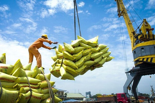 EU considered potential destination for Vietnamese rice hinh anh 1