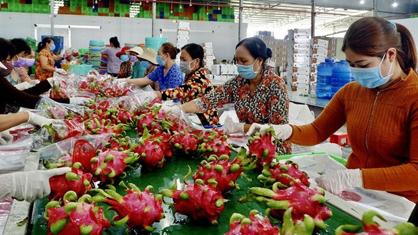 VIETNAM BUSINESS NEWS JULY 8/2023