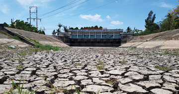 Drought in the wetland