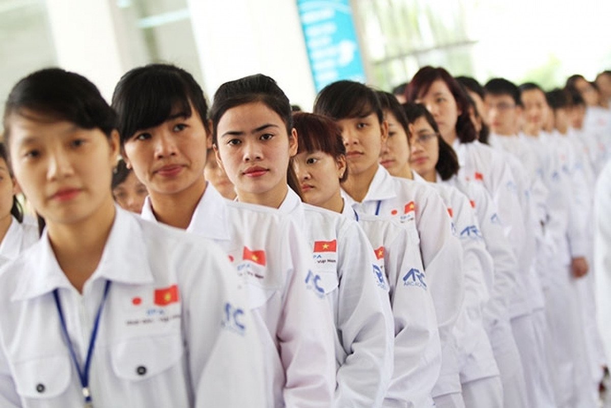 japan is largest recipient of vietnamese guestworkers picture 1