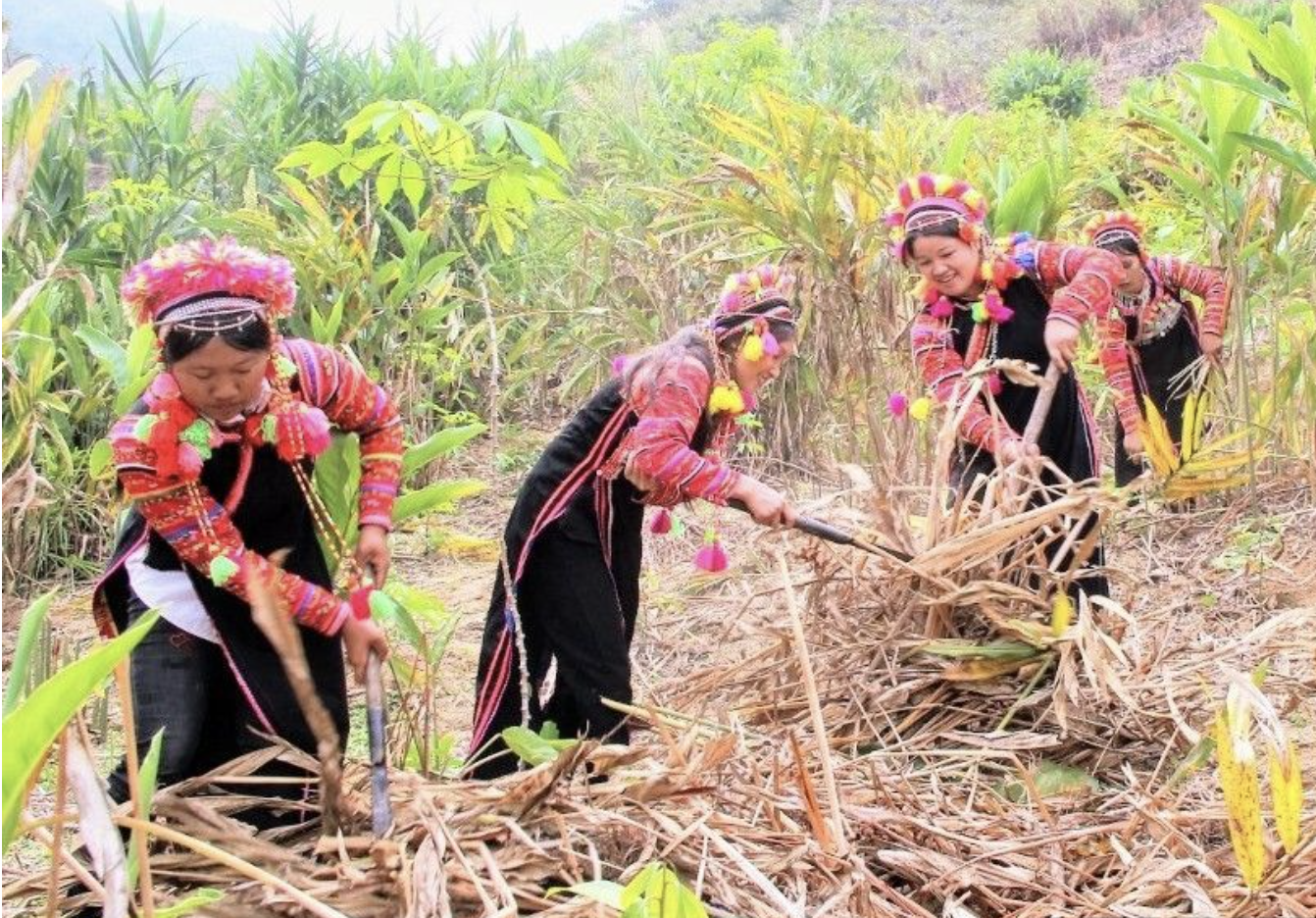 Tập trung nguồn lực hỗ trợ đồng bào dân tộc thiểu số, miền núi