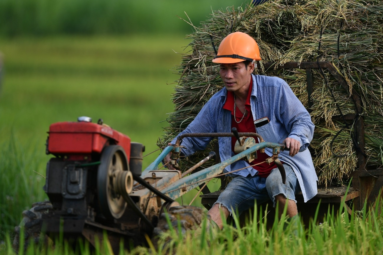 Xuất khẩu gạo: Tận dụng cơ hội chiếm lĩnh các thị trường mới