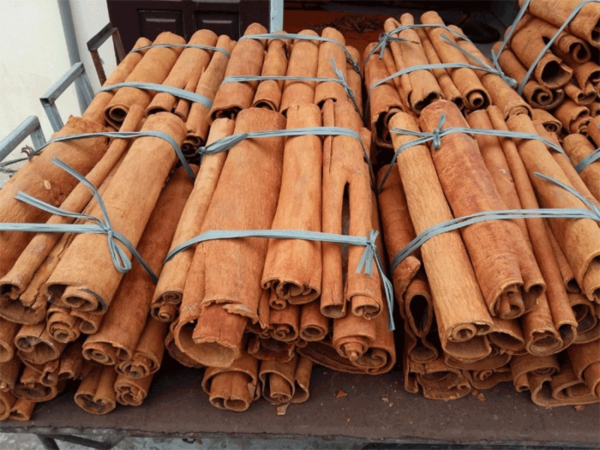 india, us, and bangladesh remain largest vietnamese cinnamon export markets picture 1