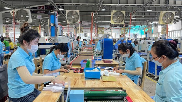 Regional minimum wage may increase in 2024: official hinh anh 1