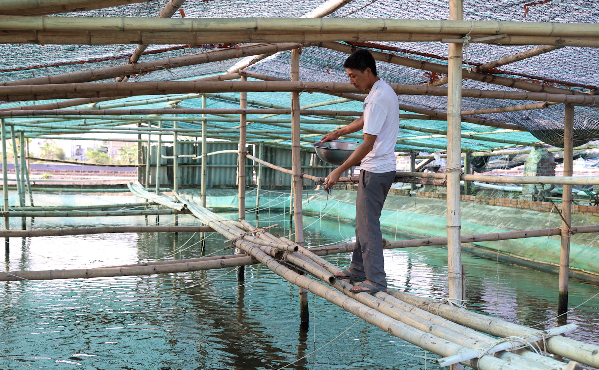 Đến 2025, phấn đấu 60% hợp tác xã nông nghiệp hoạt động tốt, khá trở lên