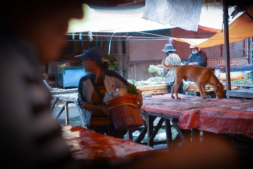 Chợ thịt tươi sống nổi tiếng cấm bán thịt chó mèo, nhiều người dân 'không vui'