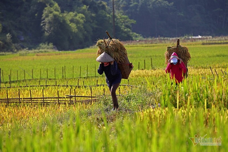 Đổi thay tích cực ở xã biên giới Cao Mã Pờ (Hà Giang)