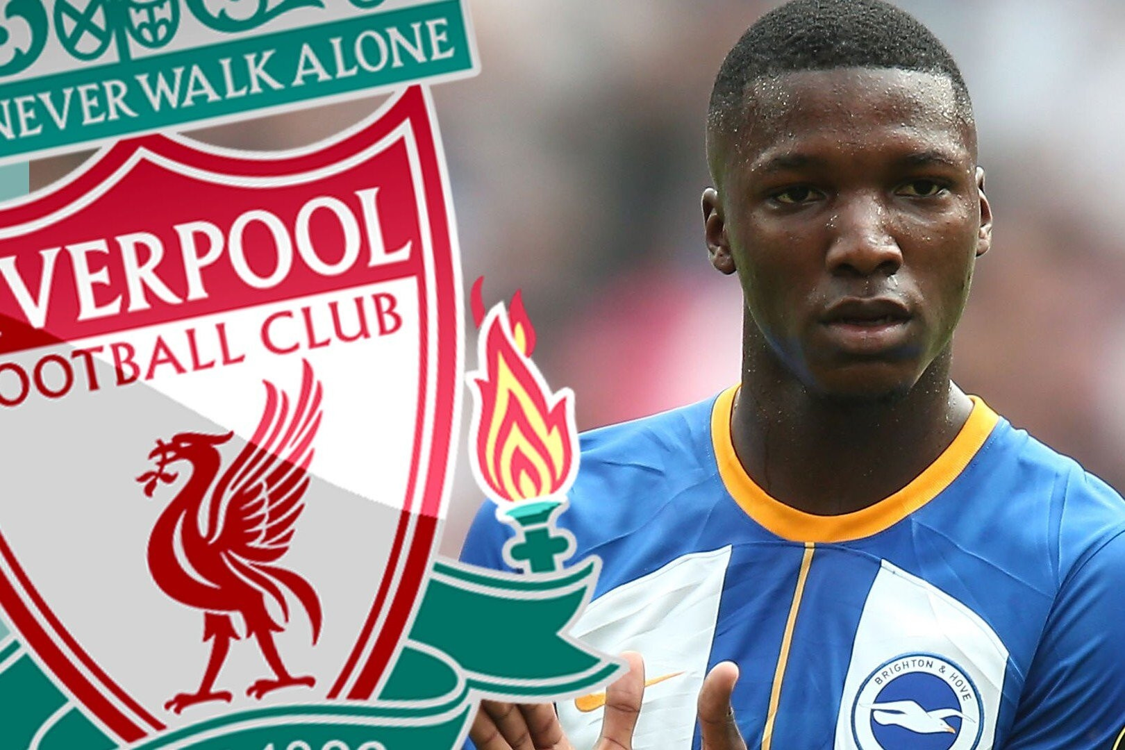 Vung tiền kỷ lục, Liverpool 'cướp' Caicedo trước mũi Chelsea