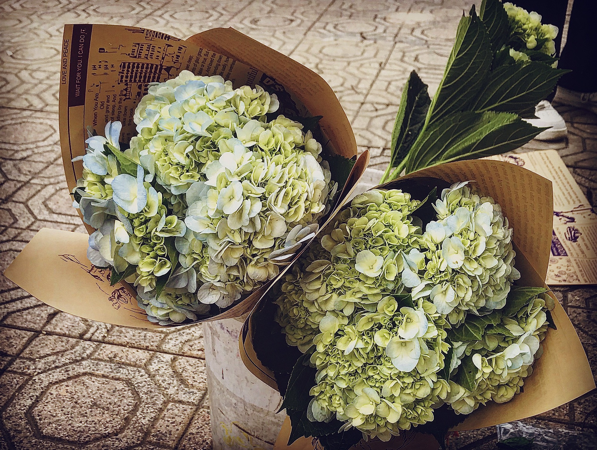 Lưu ngay những địa điểm chụp ảnh mùa thu Hà Nội đẹp xao xuyến lòng người - Ảnh 7.