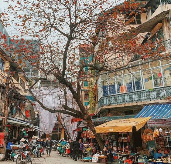 Lưu ngay những địa điểm chụp ảnh mùa thu Hà Nội đẹp xao xuyến lòng người - Ảnh 16.