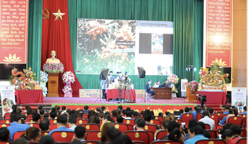 Tăng cường kỹ năng bán sản phẩm OCOP qua phương tiện số cho thanh niên miền núi