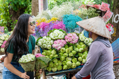 Những chiếc xe chở mùa sen Hà Nội len khắp phố phường, níu chân du khách