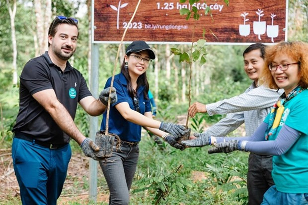 Airbus partners with French Chamber of Commerce, local NGO for community forest project in Vietnam hinh anh 1