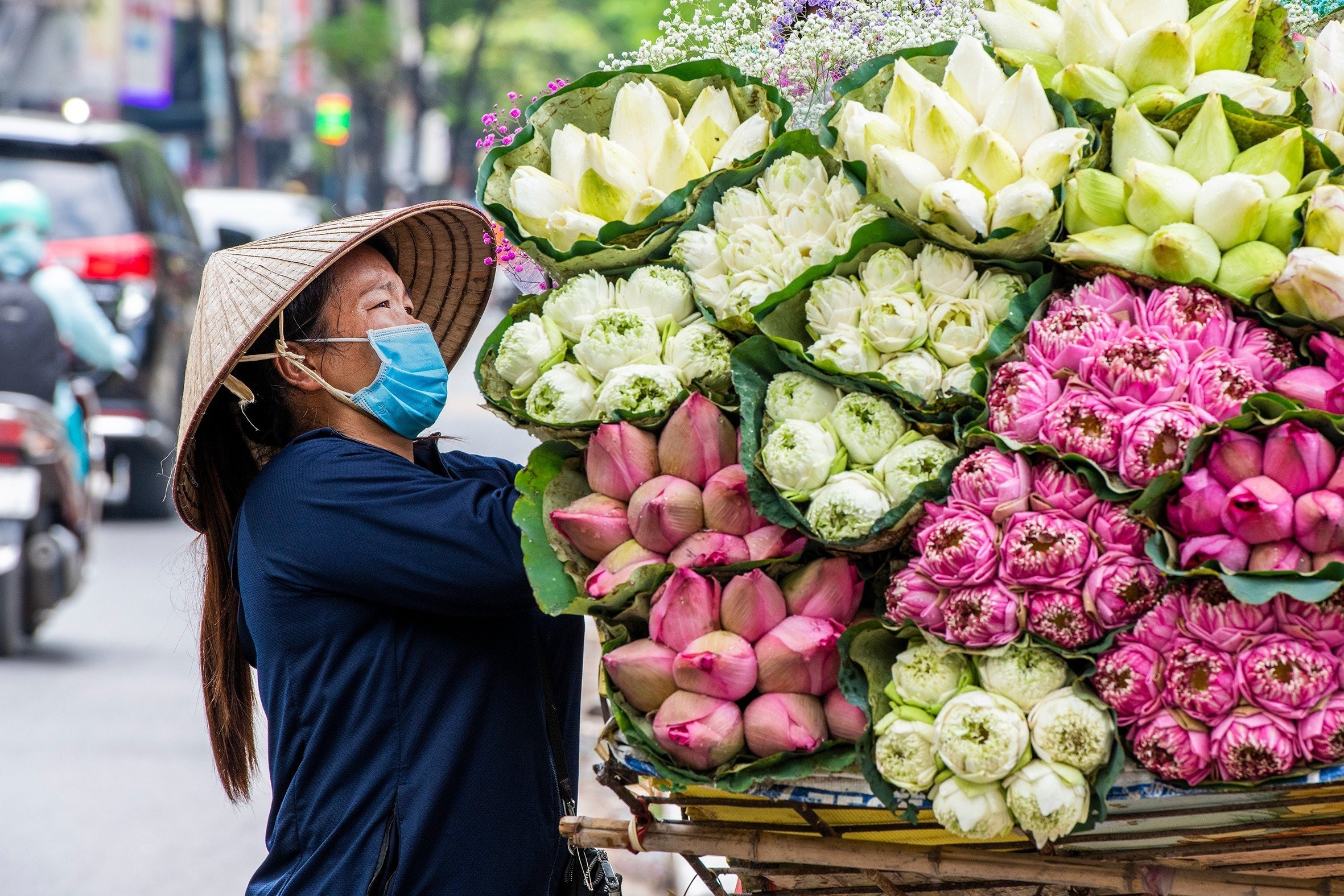 Dự báo thời tiết ngày 14/8: Nắng nóng trở lại Bắc Bộ