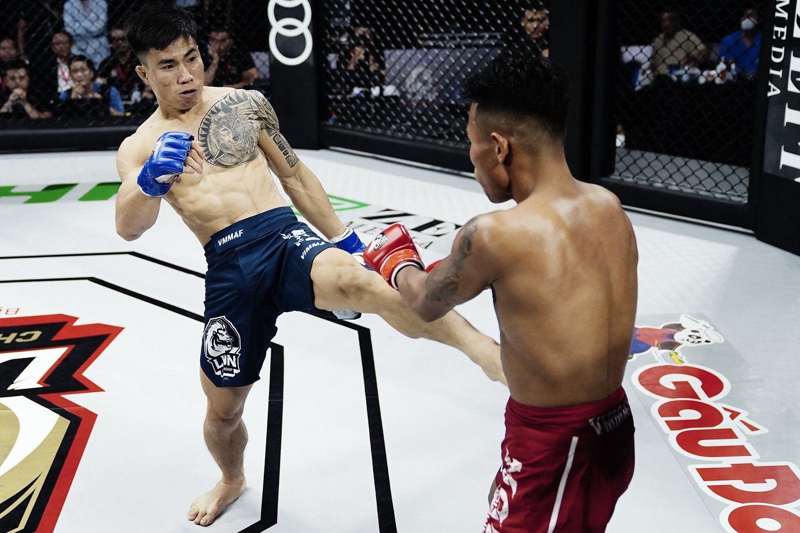 Nhà vô địch tán thủ châu Á bị đánh bại ở giải MMA Việt Nam