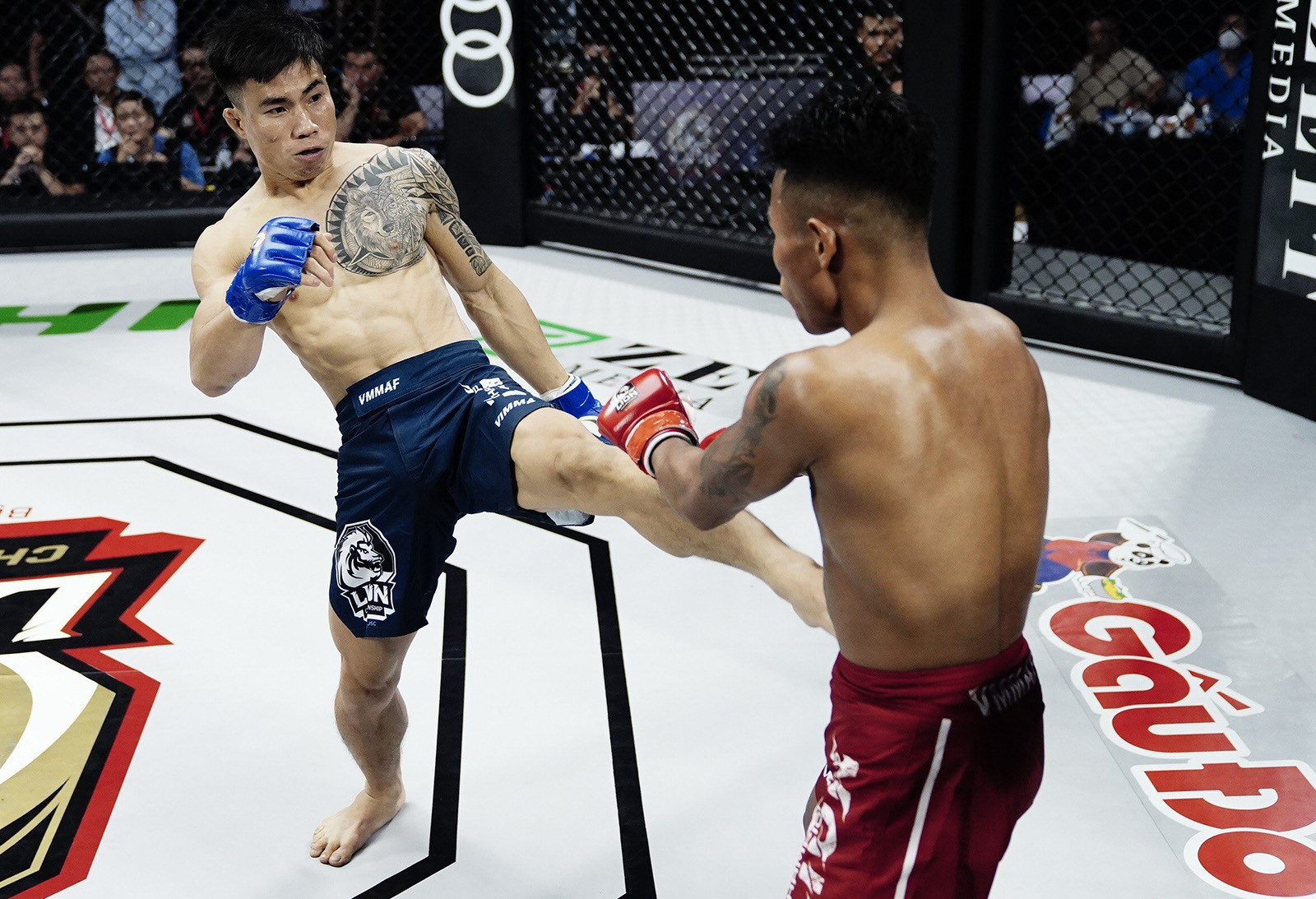 Nhà vô địch tán thủ châu Á bị đánh bại ở giải MMA Việt Nam