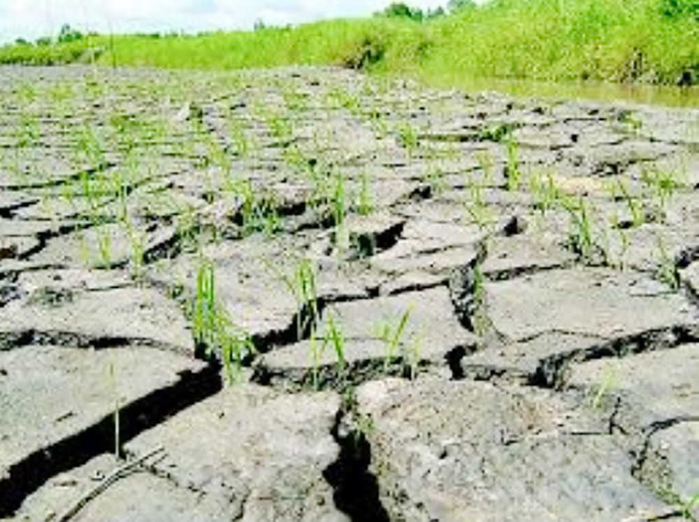 Nâng khả năng chống chọi với biến đổi khí hậu, thông qua huy động nguồn vốn xanh