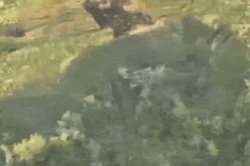 Video UAV Ukraine bắn nổ xe tăng T-90 của Nga ở Donetsk