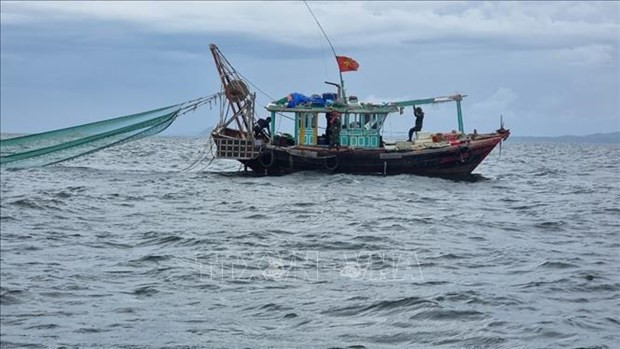 Quang Ninh to seize vessels involved in illegal fishing from September hinh anh 1