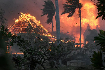 Người dân đảo nghỉ mát Hawaii kể thời khắc sinh tử giữa thảm họa cháy rừng