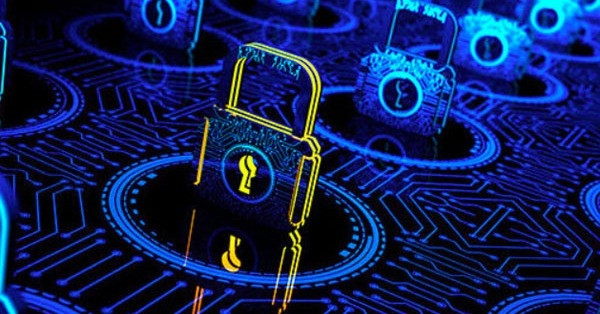 人気のあるコンピュータ製品の多くの脆弱性がハッカーによって悪用されています