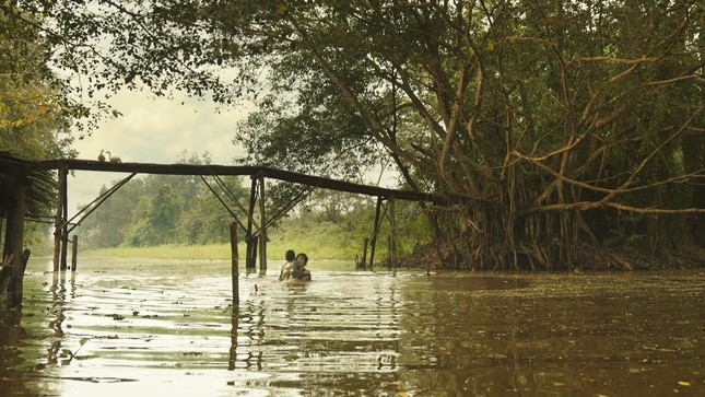 'Đất rừng Phương Nam' của Nguyễn Quang Dũng đang gây tranh cãi ảnh 3