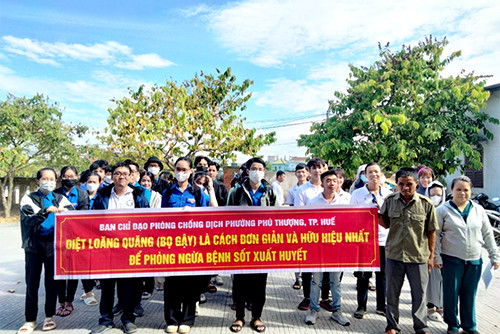 Thừa Thiên Huế chủ động trong phòng, chống dịch sốt xuất huyết