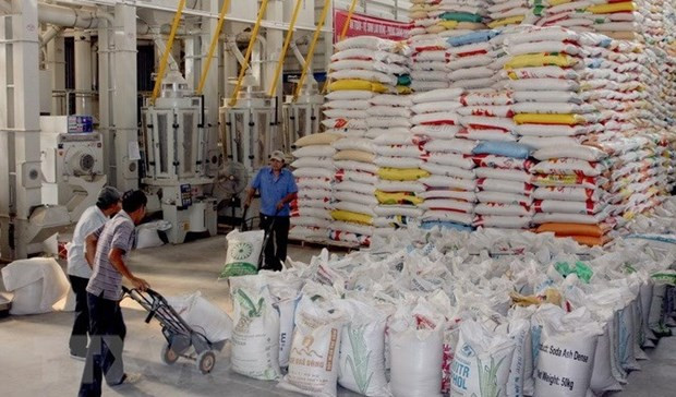 Ministry building long-term strategy on rice exports, market stabilisation: official hinh anh 1