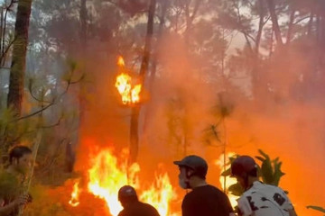Tạm giữ nam thanh niên đốt rừng thông, thách thức gọi công an đến bắt