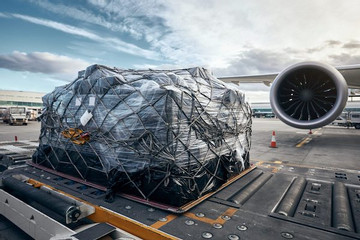 Chỉ chiếm 12% thị phần air cargo, hàng không Việt đang lép vế